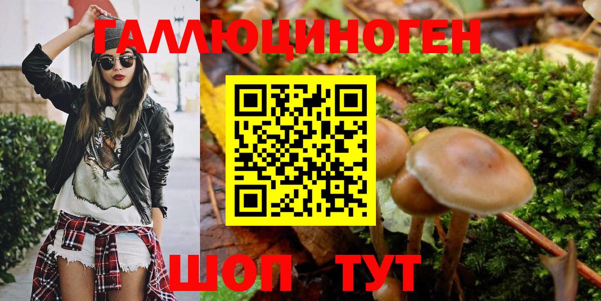 Галлюциногенные грибы GOLDEN TEACHER  Псилоцибиновые грибы Psilocybe  Вход с VPN  Королёв 
